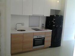 Boathouse Residences (D19), Condominium #610733121